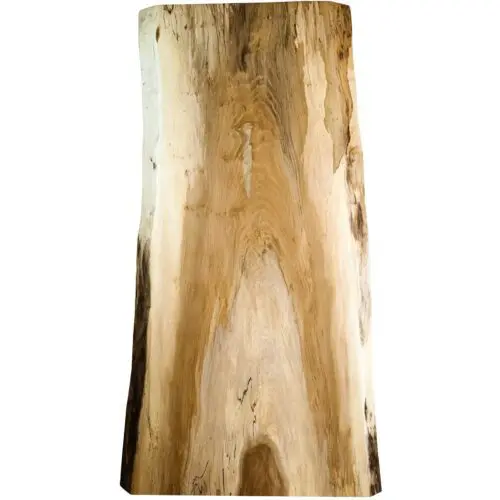 spalted sycamore live edge slab